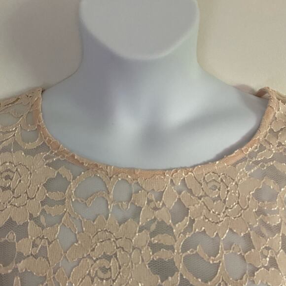 Roaman's Lace Sheer Ombre Bell Sleeve Top 22/24 1X - Picture 2 of 7